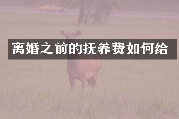 离婚之前的抚养费如何给