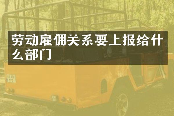 劳动雇佣关系要上报给什么部门