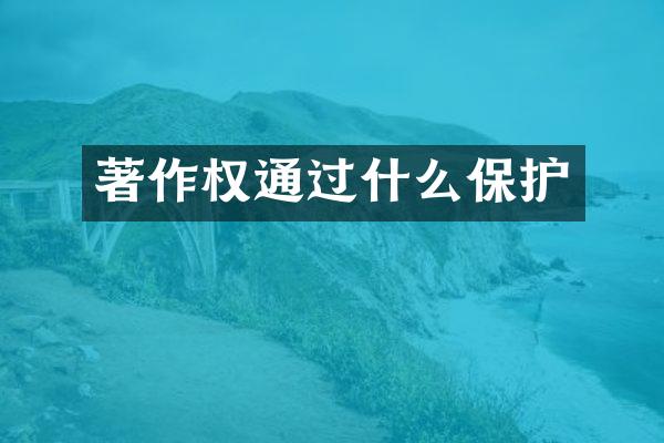 著作权通过什么保护