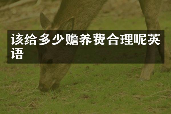 该给多少赡养费合理呢英语