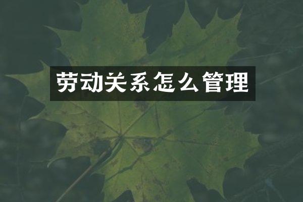 劳动关系怎么管理