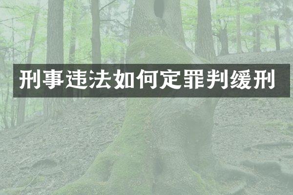 刑事违法如何定罪判缓刑