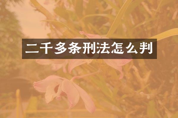 二千多条刑法怎么判