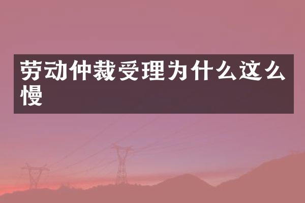劳动仲裁受理为什么这么慢