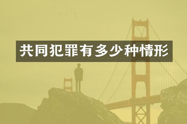 共同犯罪有多少种情形