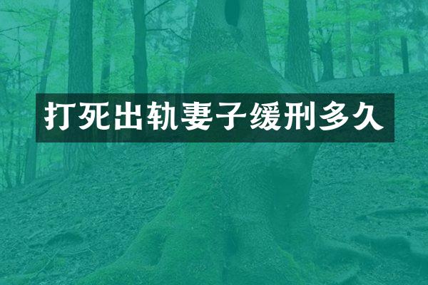 打死出轨妻子缓刑多久