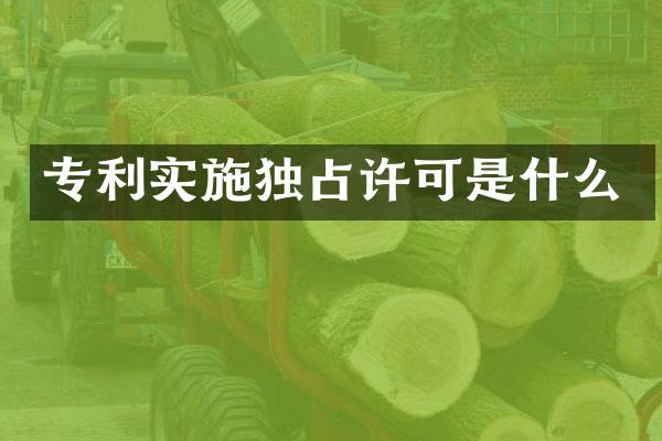 专利实施独占许可是什么