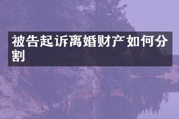 被告起诉离婚财产如何分割
