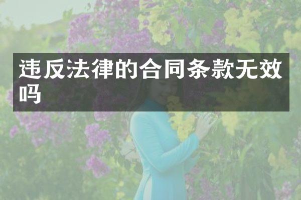 违反法律的合同条款无效吗