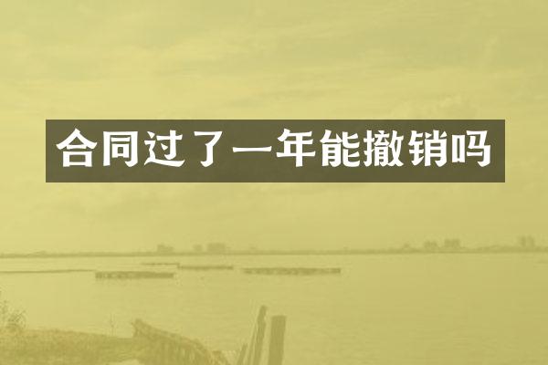 合同过了一年能撤销吗