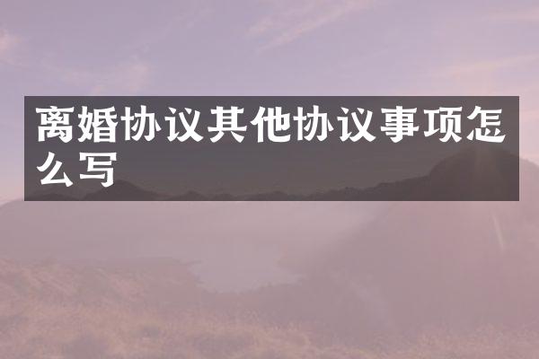 离婚协议其他协议事项怎么写