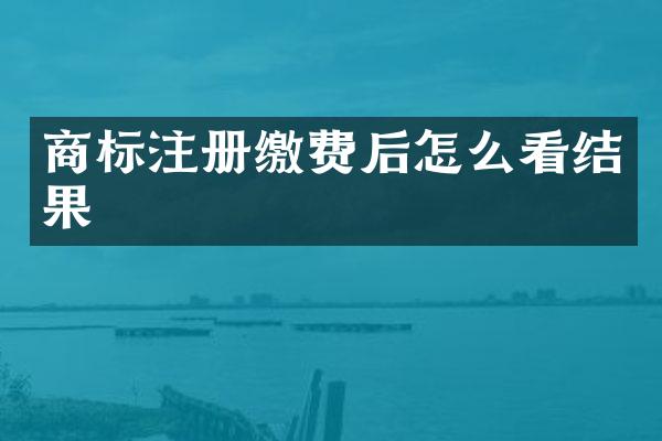 商标注册缴费后怎么看结果