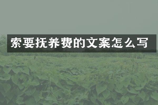 索要抚养费的文案怎么写