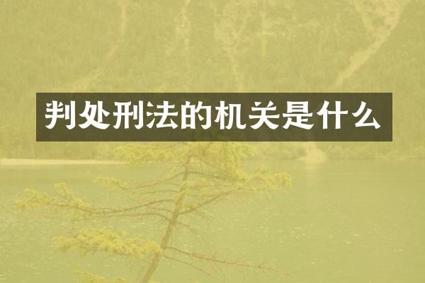 判处刑法的机关是什么