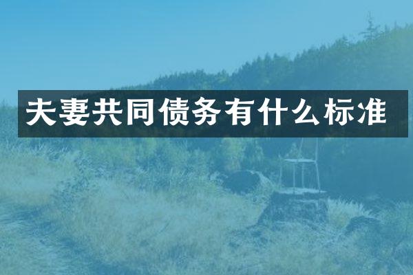 夫妻共同债务有什么标准