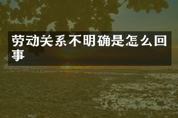 劳动关系不明确是怎么回事