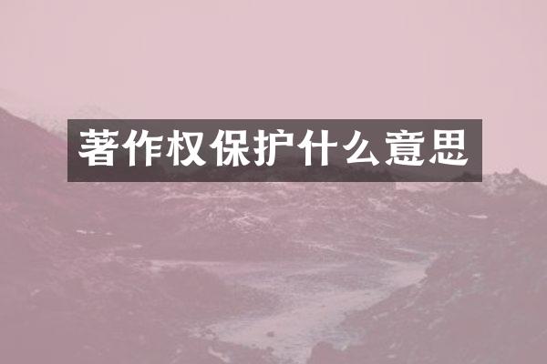著作权保护什么意思