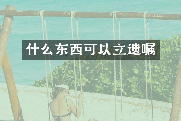 什么东西可以立遗嘱