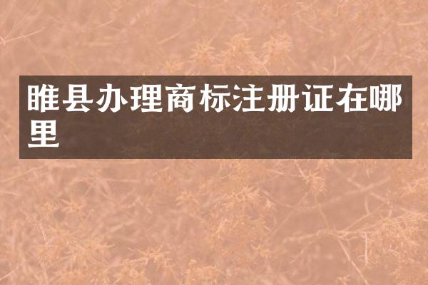 睢县办理商标注册证在哪里