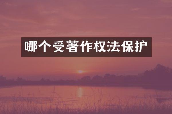 哪个受著作权法保护