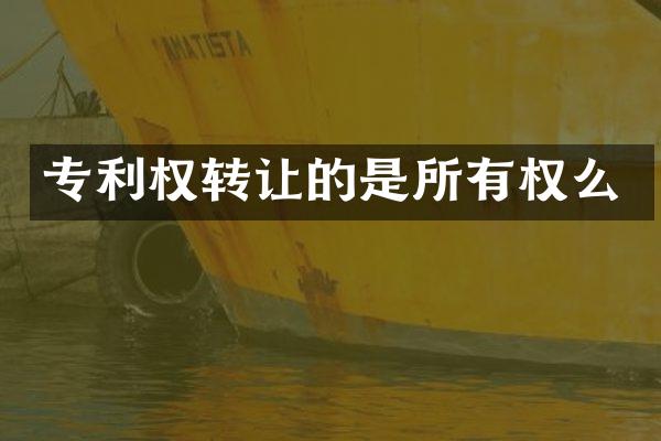专利权转让的是所有权么