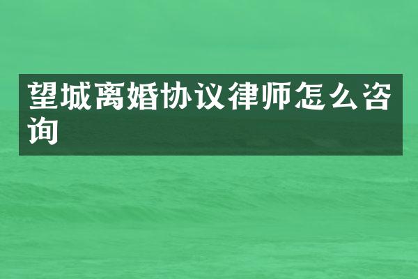 望城离婚协议律师怎么咨询