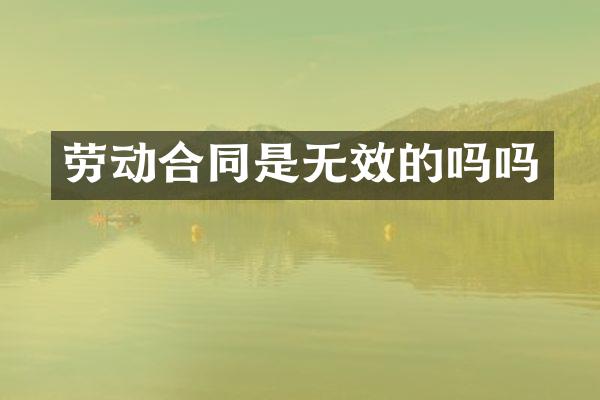 劳动合同是无效的吗吗
