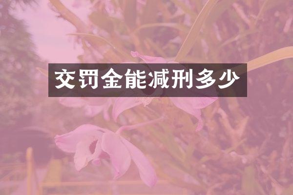 交罚金能减刑多少