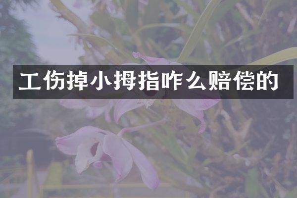 工伤掉小拇指咋么赔偿的