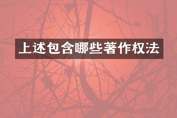 上述包含哪些著作权法