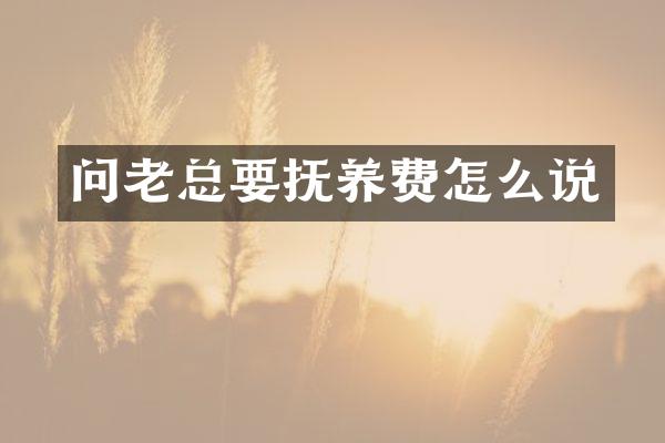 问老总要抚养费怎么说