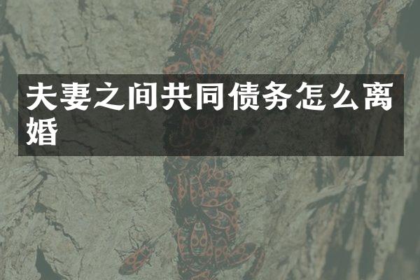夫妻之间共同债务怎么离婚