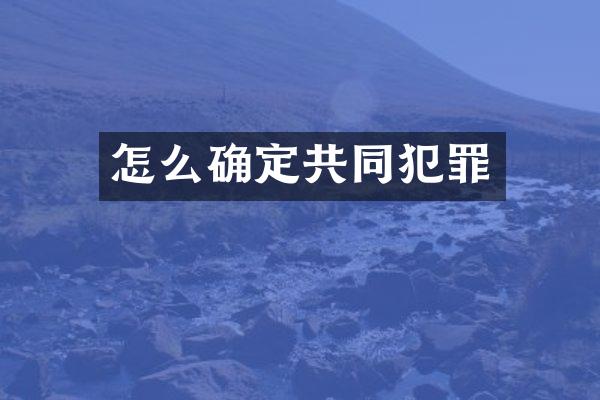 怎么确定共同犯罪