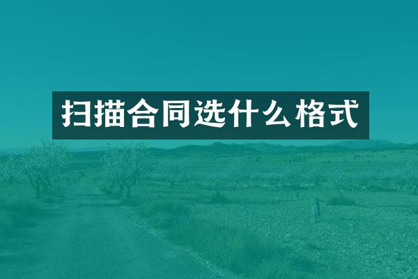 扫描合同选什么格式