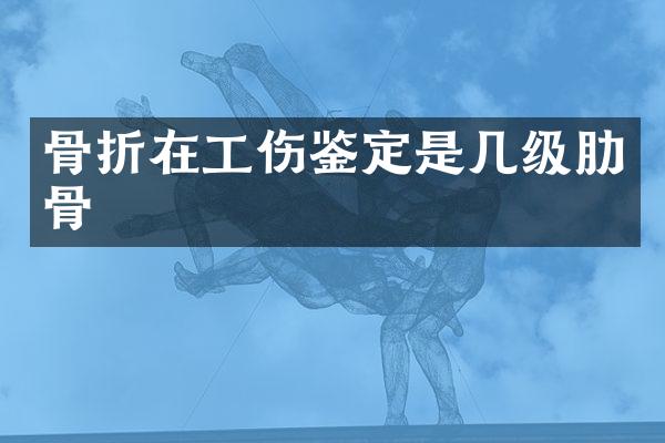 骨折在工伤鉴定是几级肋骨