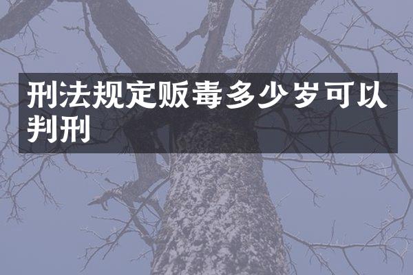 刑法规定可以判刑