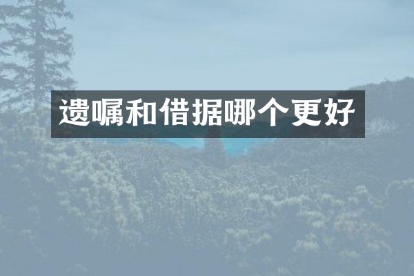遗嘱和借据哪个更好