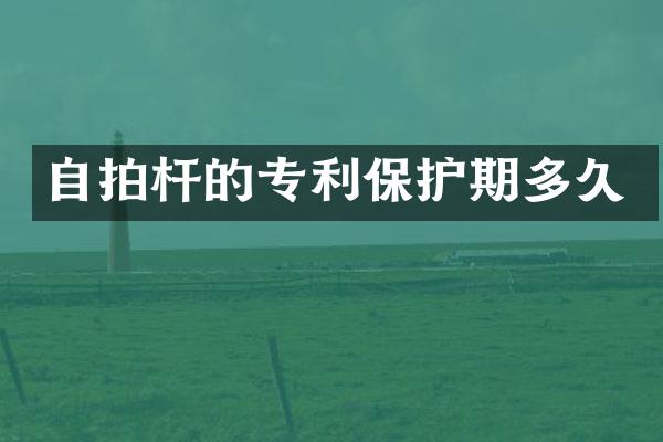 杆的专利保护期多久