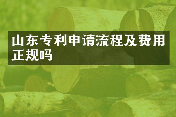 山东专利申请流程及费用正规吗