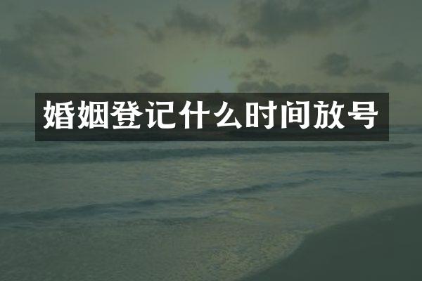 婚姻登记什么时间放号