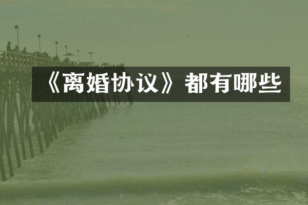 《离婚协议》都有哪些