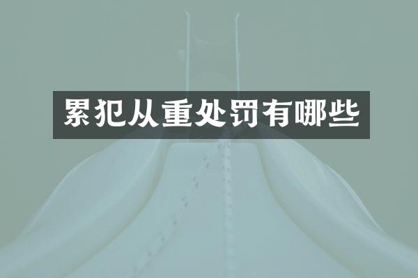 从重处罚有哪些