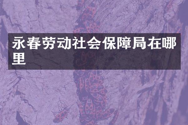 永春劳动社会保障局在哪里