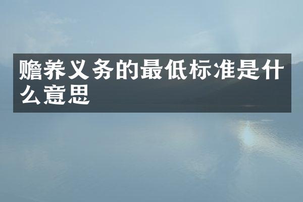 赡养义务的最低标准是什么意思