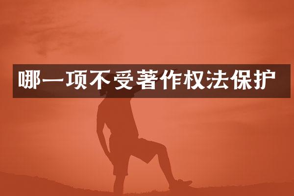 哪一项不受著作权法保护