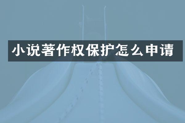 小说著作权保护怎么申请