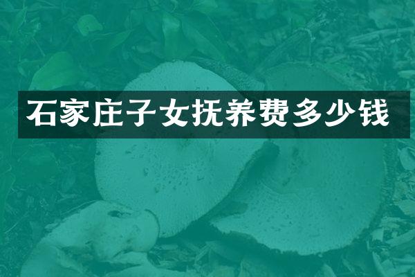 石家庄子女抚养费多少钱