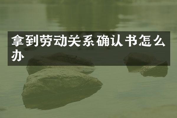 拿到劳动关系确认书怎么办
