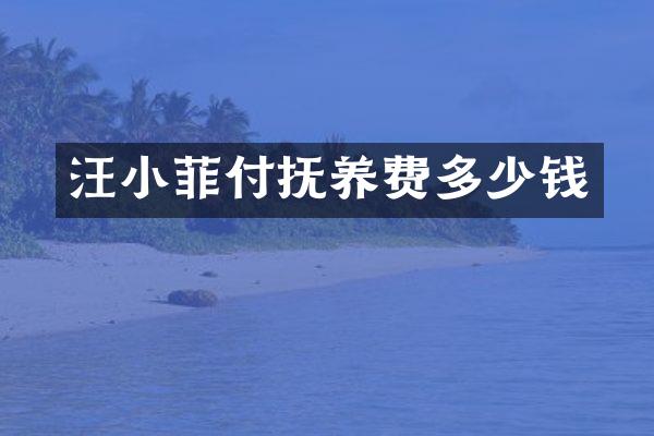 汪小菲付抚养费多少钱