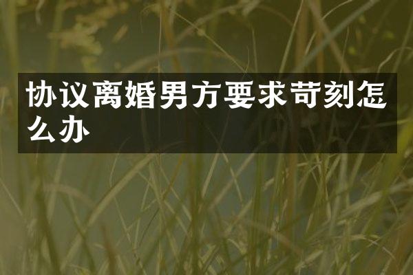 协议离婚男方要求苛刻怎么办